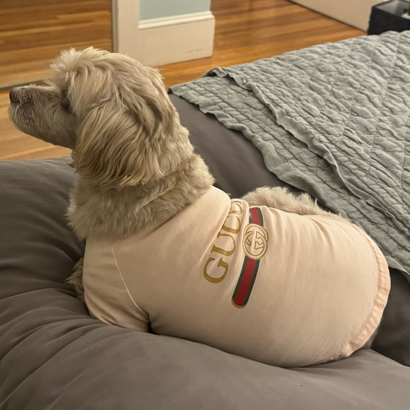 Gucci Accessories - Mr. Applebys Anything Goes Share Show